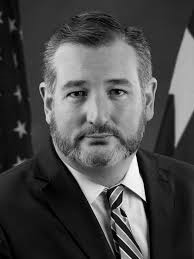 Ted Cruz Headshot